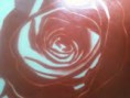 /album/galeria-de-fotos/a36-jpg/